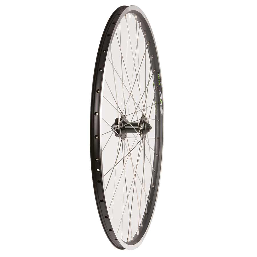 Wheel Shop, Evo Tour 19 Black/ Formula DC-20, Wheel, Front, 700C / 622, Holes: 36, QR, 100mm, IS 6-bolt rim and disc