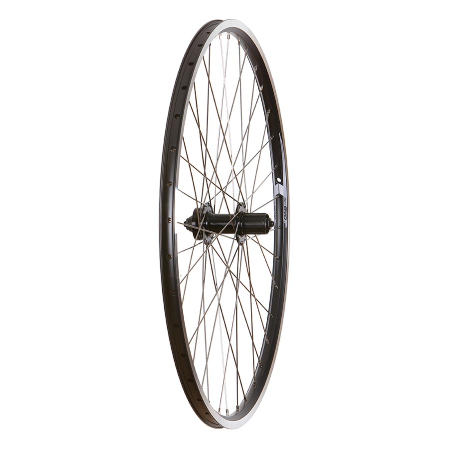 Wheel Shop, Evo Tour 19 Black/ Formula DC-22, Wheel, Rear, 700C / 622, Holes: 36, QR, 135mm, IS 6-bolt rim and disc, Shimano HG