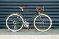 MooseBicycle, Roadtrip