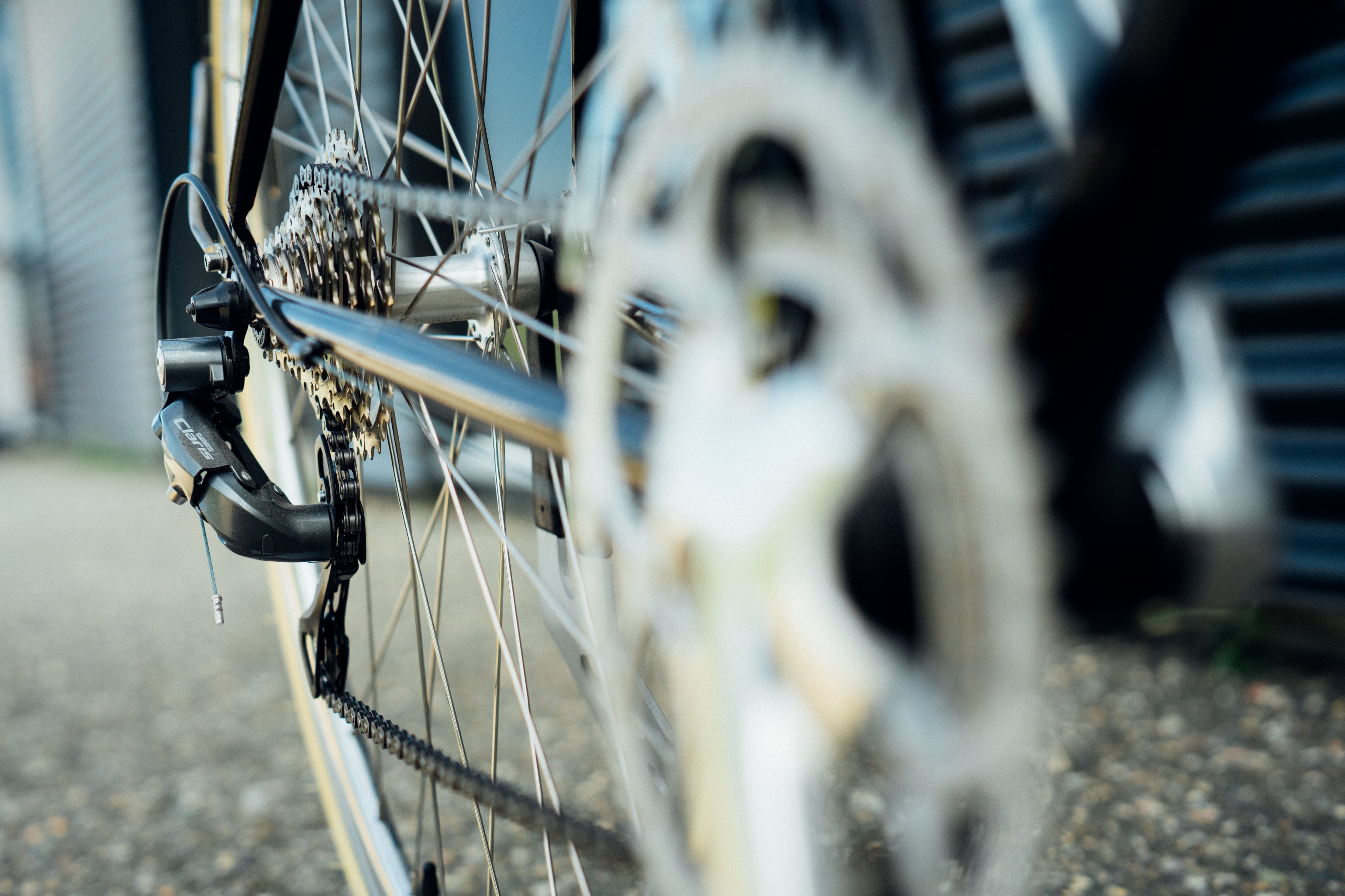 MooseBicycle, Roadtrip