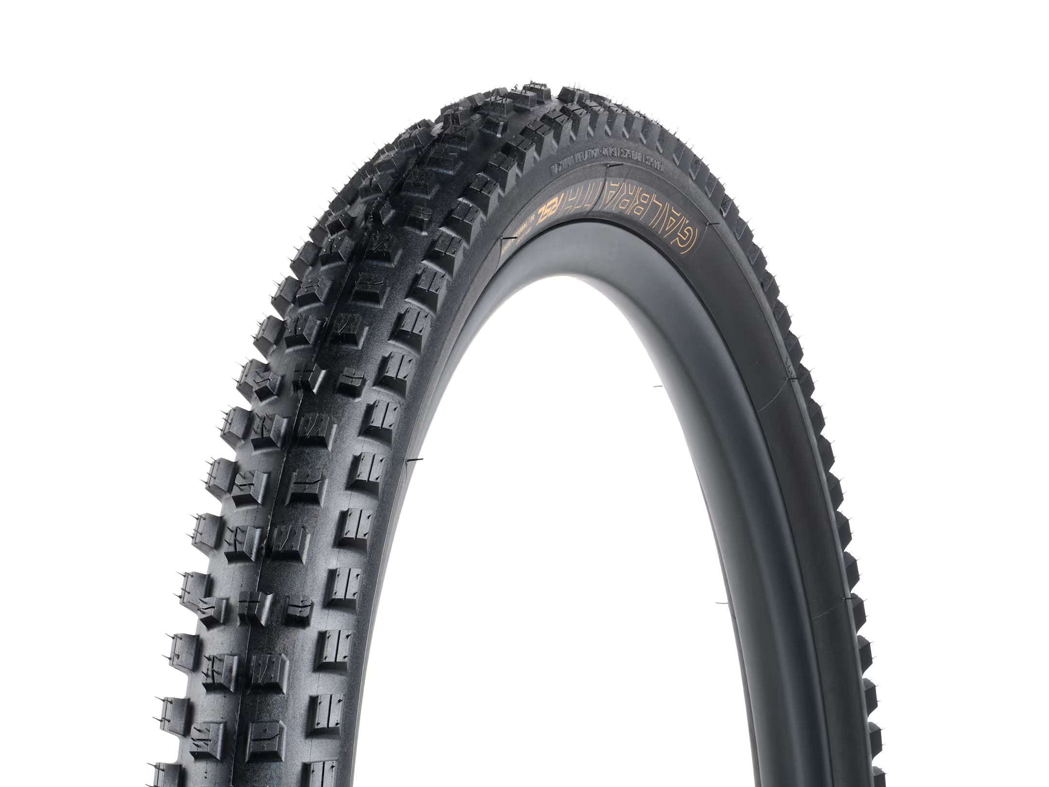 Bontrager, Galbraith RSL SE TLR, pneu montagne