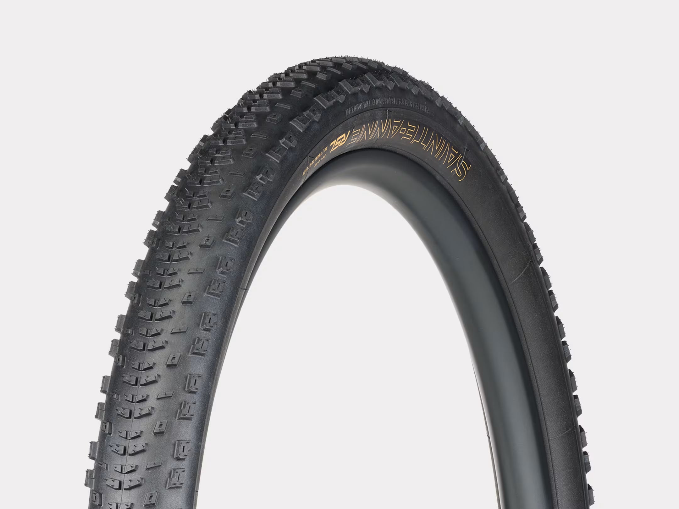 Bontrager, Sainte-Anne RSL XR TLR, pneu montagne