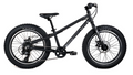 EVO, BigRidge 20"