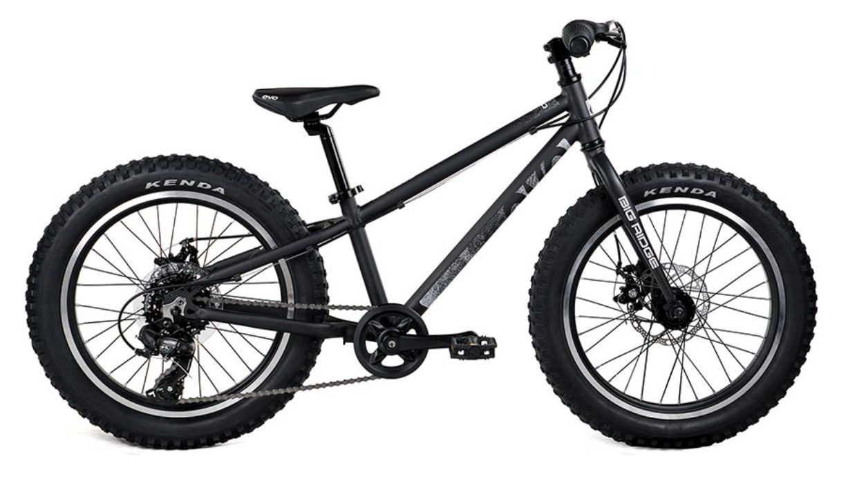 EVO, BigRidge 20"