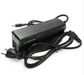 Phylion, chargeur de batterie, 36v, 1 pin