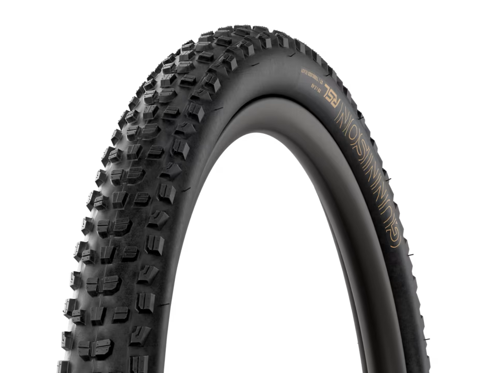 Bontrager, Pneu Gunnison RSL XT TLR