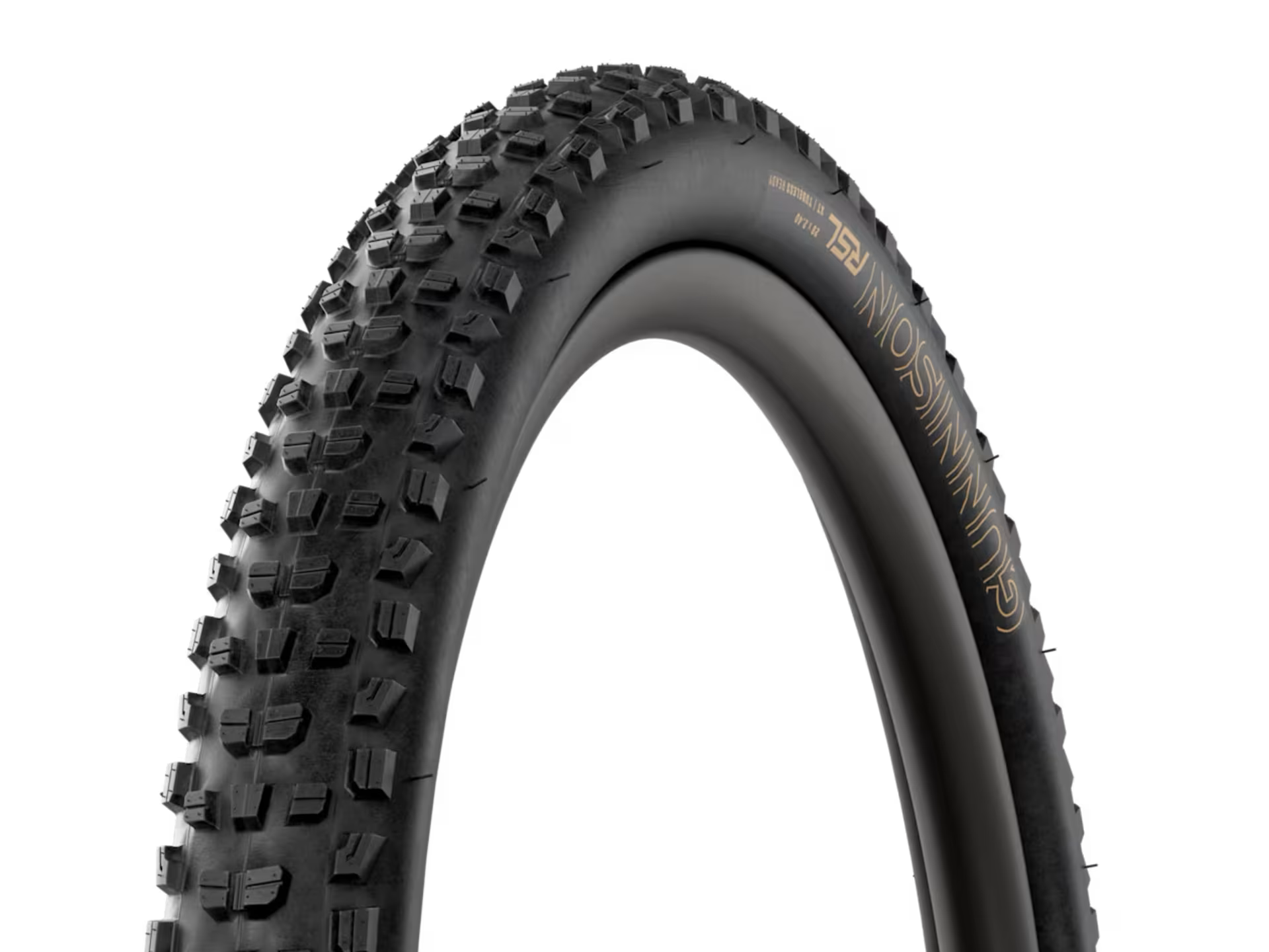 Bontrager, Pneu Gunnison RSL XT TLR