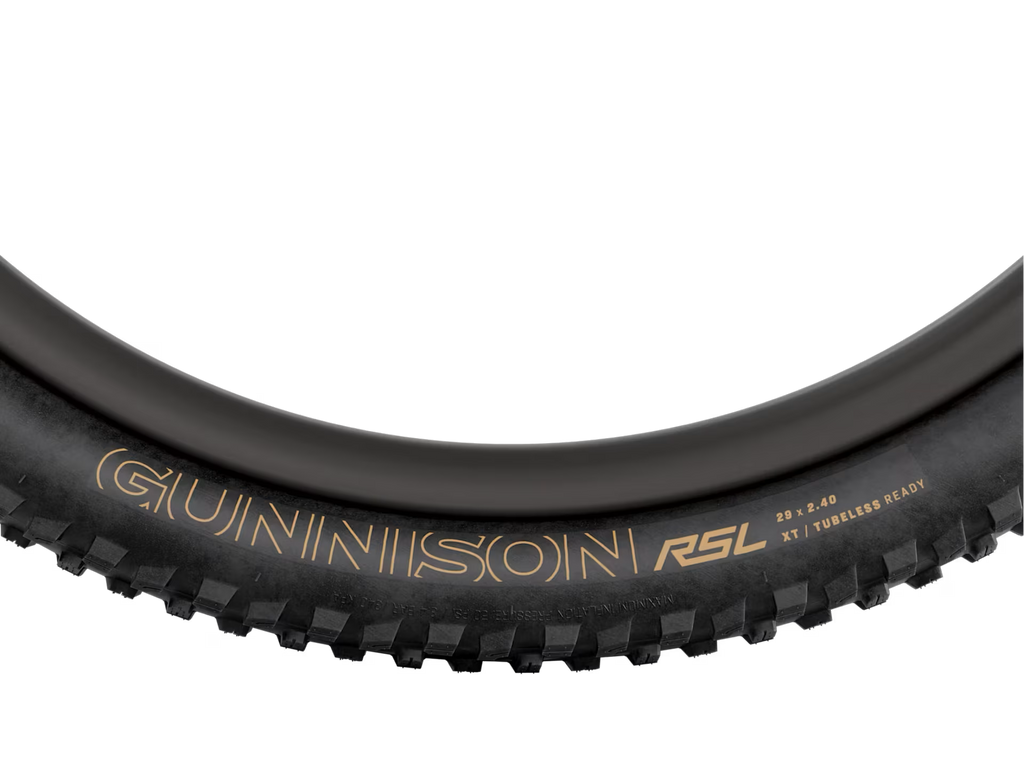 Bontrager, Pneu Gunnison RSL XT TLR