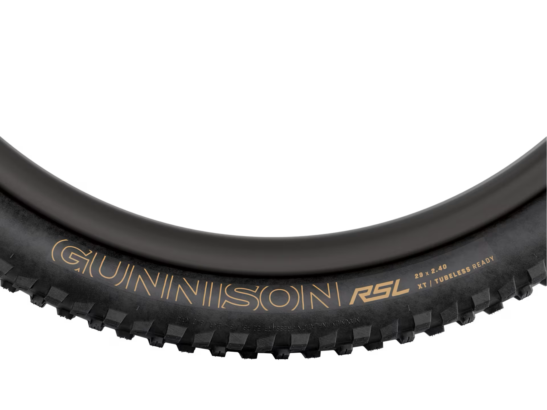 Bontrager, Pneu Gunnison RSL XT TLR